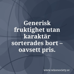 Generisk fruktighet utan karaktär sorterades bort – oavsett pris.