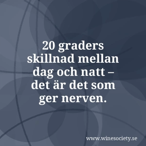 20 graders skillnad mellan dag och natt – det är det som ger nerven.