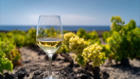 Glas med Assyrtiko-vin från Santorini mot bakgrund av vulkanisk jord och vinrankor