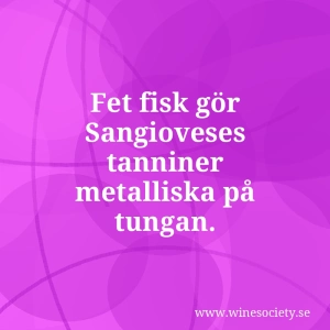Fet fisk gör Sangioveses tanniner metalliska på tungan.