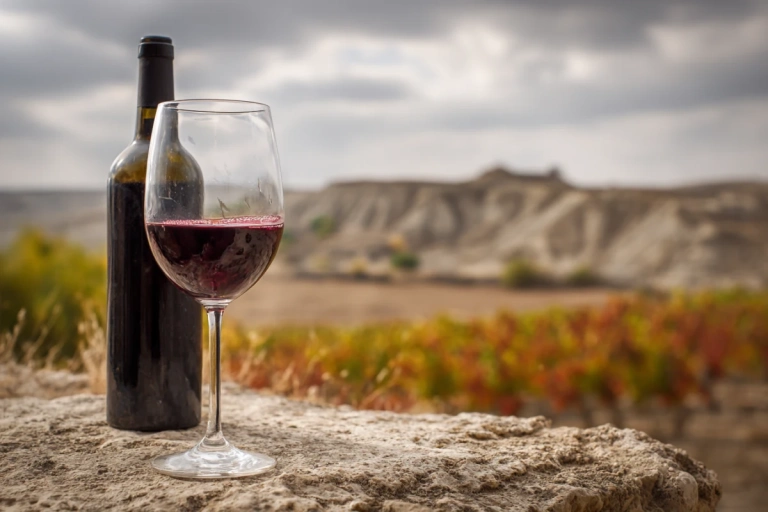 Mörkt rödvin i glas bredvid en flaska Ribera del Duero