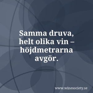 Samma druva, helt olika vin – höjdmetrarna avgör.