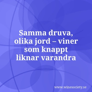 Samma druva, olika jord – viner som knappt liknar varandra