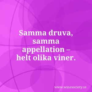 Samma druva, samma appellation – helt olika viner.