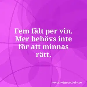 Fem fält per vin. Mer behövs inte för att minnas rätt.