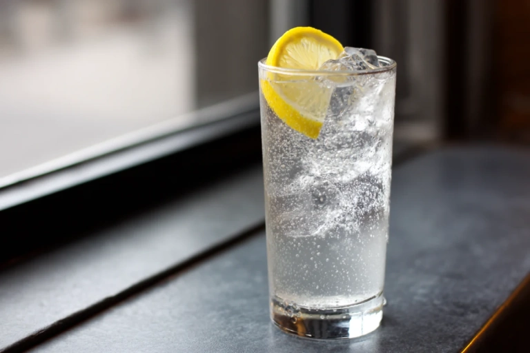 Gin och tonic i highballglas med is och citronskiva