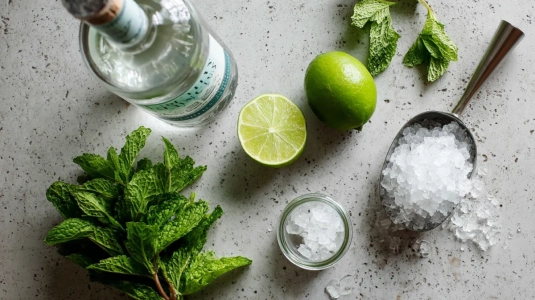 Ingredienser till mojito: vit rom, lime, färsk mynta och sockerlag