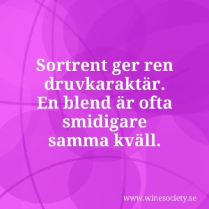 Sortrent ger ren druvkaraktär. En blend är ofta smidigare samma kväll.