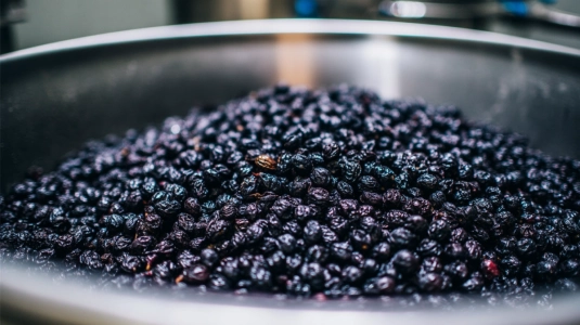 Pressade druvskinn och kärnor från Amarone-produktion
